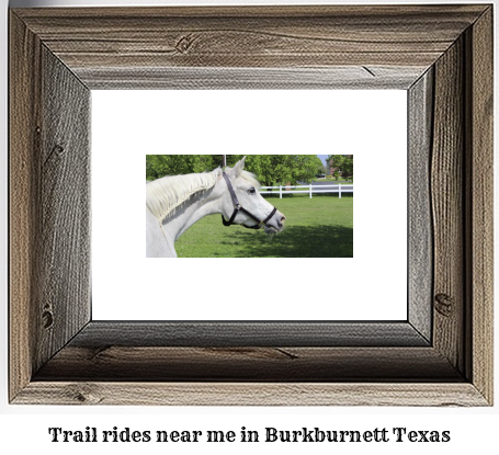 trail rides near me in Burkburnett, Texas